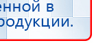 СКЭНАР-1-НТ (исполнение 01 VO) Скэнар Мастер купить в Златоусте, Аппараты Скэнар купить в Златоусте, Медицинская техника - denasosteo.ru